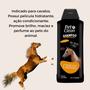 Imagem de Shampoo e Condicionador Para Cavalo + Brilho Pet Clean 700ml