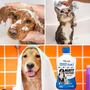 Imagem de Shampoo e Condicionador Pet 6x1 Anti Pulgas Carrapatos Sarna Cães Gatos