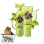 Imagem de Shampoo e Condicionador Pet Head Muck Puppy para Cães Filhotes