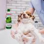 Imagem de Shampoo e condicionador pets 2 em 1 caes e gatos 500ml - Turma da Mônica Pets