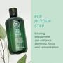 Imagem de Shampoo especial Tea Tree, limpa profundamente, refresca o c