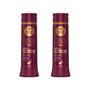 Imagem de Shampoo Haskell 300Ml Liso Com Força - Kit Com 2Un