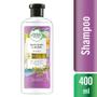Imagem de Shampoo Herbal Essences Bio:Renew Alecrim e Ervas 400ml