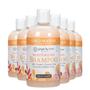 Imagem de Shampoo Hidratante Ginger Lily Farms Coco Mango 360mL x6