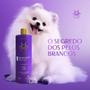 Imagem de Shampoo Hydra Groomers Color White 500ML Cães Gatos Pet