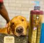 Imagem de Shampoo Limpeza Intensa Dolce Pet Para Cães Gatos Cereja Avela 500ml