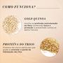 Imagem de Shampoo Loreal Absolut Repair Gold Quinoa + Protein 300ml