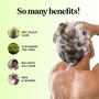 Imagem de Shampoo Maple Holistics Clarifying Tea Tree 240 ml para cabelos oleosos