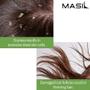 Imagem de Shampoo Masil 5 Probióticos com Vinagre de Maçã - Kit com 20 Unidades (300ml cada)
