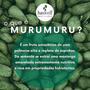 Imagem de Shampoo Murumuru 1000ml - Haskell