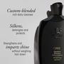 Imagem de Shampoo ORIBE Signature 75mL