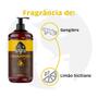 Imagem de Shampoo Para Cabelo 2 Em 1 Lemon Bone 1000ml Don Alcides