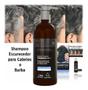 Imagem de Shampoo Para Cabelo e Barba  Escurecedor Black Touch 1 litro