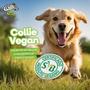 Imagem de Shampoo Para Cães E Gatos Pré-lavagem Aroma Coco Collie  5l