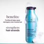 Imagem de Shampoo Pureology Strength Cure para cabelos danificados 50mL