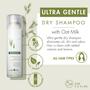 Imagem de Shampoo Seco Klorane com Leite de Aveia - Ultra-Suave (100mL x 2)