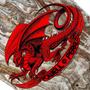 Imagem de Shape Powell Peralta 9,625 Maple Caballero SPN Chin Dragon
