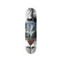 Imagem de Shape Primitive Paul Rodriguez Knight 8.0