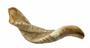 Imagem de Shofar Chifre De Carneiro De Tocar - 34 A 36 Cm - De Israel