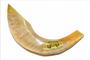 Imagem de Shofar Chifre De Carneiro De Tocar Claro -Israel 25-29 Cm