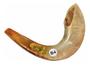 Imagem de Shofar Chifre De Carneiro De Tocar - De Israel 40-44 Cm