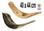 Imagem de Shofar Chifre De Carneiro De Tocar - De Israel