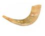 Imagem de Shofar Chifre De Carneiro De Tocar Ou Ungir/unção + Suporte - Original De Israel