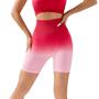 Imagem de Short Flexível Cintura Alta Sem Costura Modelo Feminino Para Academia