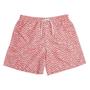 Imagem de Shorts Masculino Estampa Zig Zag Mash