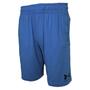 Imagem de Shorts Under Armour Sportstyle Masculino - Azul