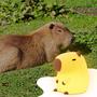 Imagem de Silicone de capivara YuanDian Night Light para mulheres e bebês