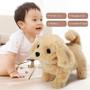 Imagem de Simulação de brinquedo elétrico Teddy Dog Plush Walking com som