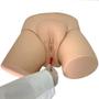 Imagem de Simulador de Cateterismo Vesical, Bissexual com Dispositivo de Controle