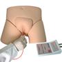 Imagem de Simulador de Cateterismo Vesical, Lavagem Intestinal, Bissexual com Dispositivo de Controle