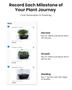 Imagem de Sistema Hidropônico iDoo 12Pods com WiFi e LED Grow Light