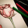 Imagem de Sketchbook A5 Vermelho Hahnemuhle
