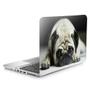 Imagem de Skin Adesivo Protetor Para Notebook 17" Pug Cachorro Dog B1