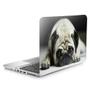 Imagem de Skin Adesivo Protetor Para Notebook 17" Pug Cachorro Dog B1