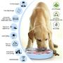 Imagem de Slow Feeder Dog Bowl ALLYGOODS Silicone para grandes/médio/pequeno