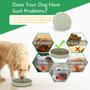 Imagem de Slow Feeder Dog Bowl Anipaw Silicone Maze Food Bowl para cães