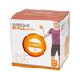 Imagem de Soft Ball - Mini Bola de Exercícios 1 Kg - LiveUp