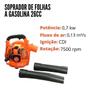 Imagem de Soprador De Folhas A Gasolina 26Cc Iwsfg2T26