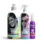 Imagem de Soul Power Curly Definition Cpp 500ml + Day After 315ml + Text Óleo 100ml