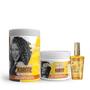 Imagem de Soul Power Karite Shea Masc 400ml + Cpp 800ml + BC Óleo 40ml