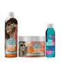 Imagem de Soul Power Soulshine Sh 315ml + Masc 400ml + Blends Óleo 100ml