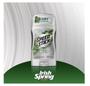 Imagem de Speed Stick Irish Spring - Pack 2