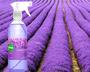 Imagem de Spray Aromatizador De Ambientes Aroma Violeta 500ml Alop