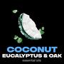 Imagem de Spray corporal desodorante AXE Fine Fragrance Pure Coconut 120 ml, pacote com 3