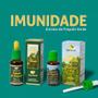 Imagem de Spray De Própolis Verde Com Mel Imunidade 30ml - Apis Brasil