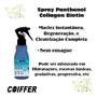 Imagem de Spray Panthenol Coiffer 100Ml